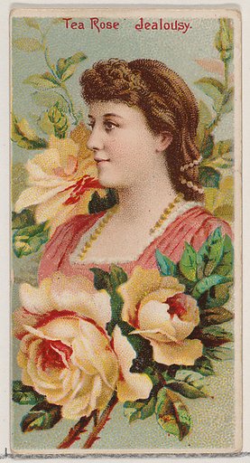 Tea Rose: Jealousy, from the series Floral Beauties and Language of Flowers (N75) for Duke brand cigarettes