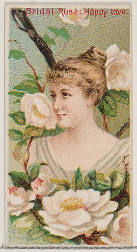 Bridal Rose: Happy Love, from the series Floral Beauties and Language of Flowers (N75) for Duke brand cigarettes