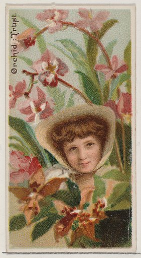Orchid: Trust, from the series Floral Beauties and Language of Flowers (N75) for Duke brand cigarettes