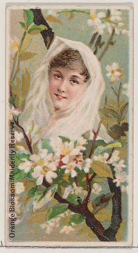Orange Blossom: Maidenly Reserve, from the series Floral Beauties and Language of Flowers (N75) for Duke brand cigarettes