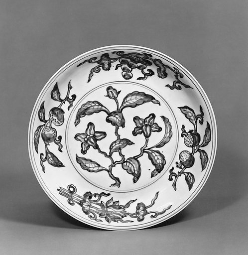Dish