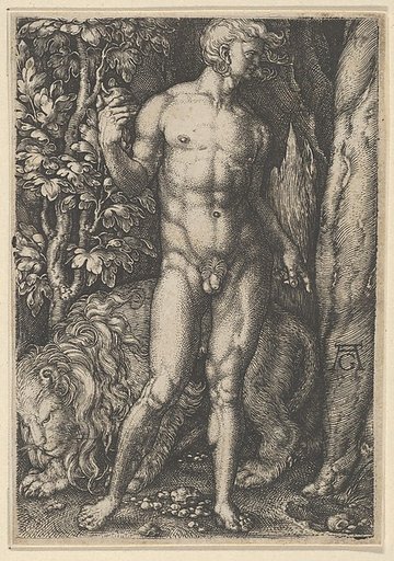 Adam with a Lion