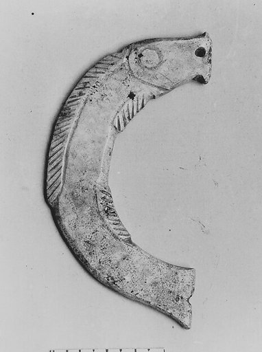 Plaque in the shape of a fish