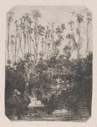 La Marais (The Swamp)
