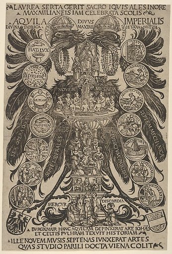 The Imperial Eagle (Aquila Imperialis)