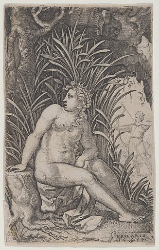 Cephalus and Procris, from "The Greek Heroines"