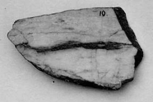 Fragment