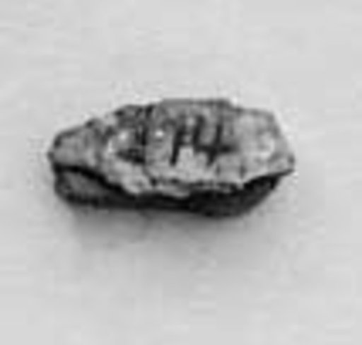 Fragment