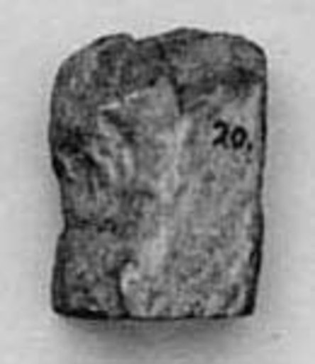 Fragment