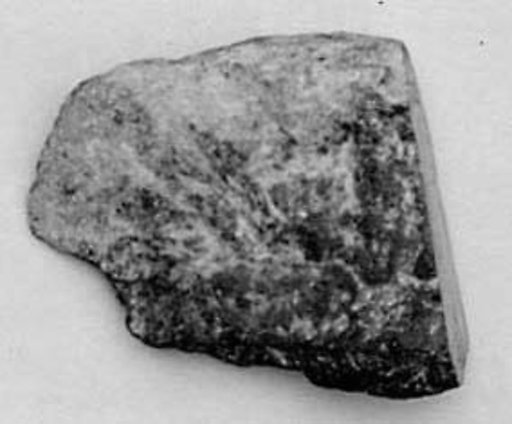 Fragment
