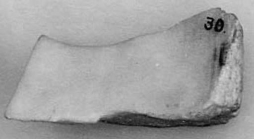 Fragment