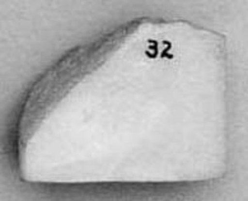 Fragment