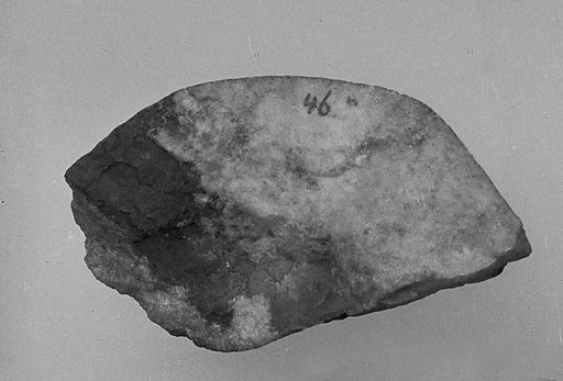 Fragment