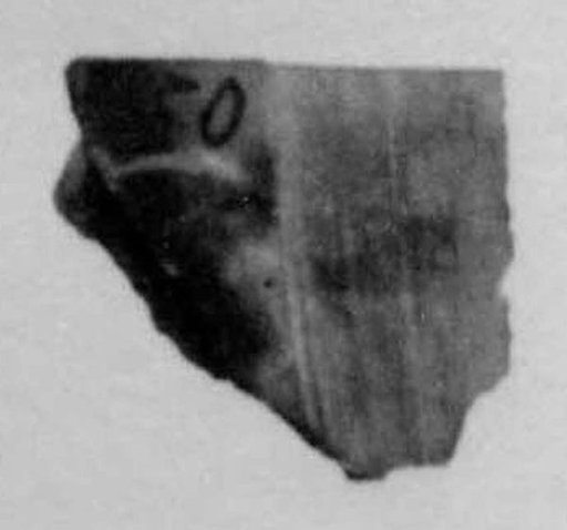 Fragment