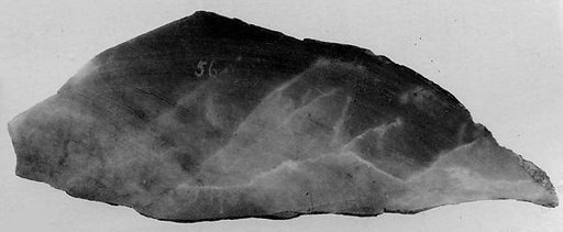 Fragment