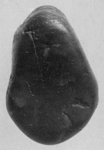 Fragment
