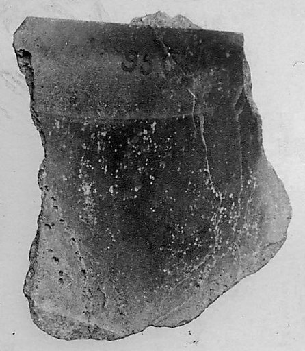 Fragment