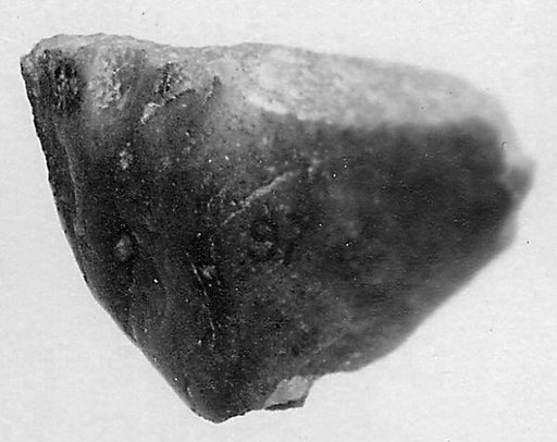 Fragment