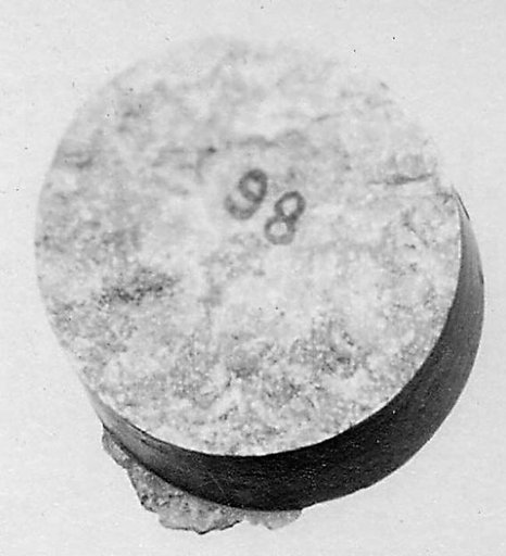 Fragment