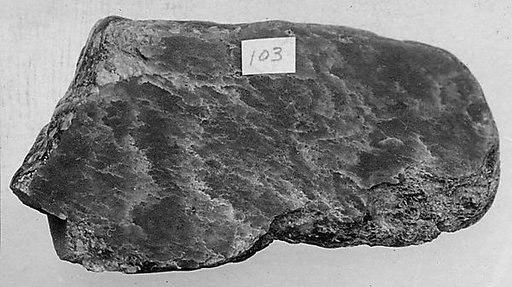 Fragment