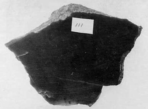 Fragment