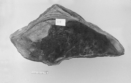 Fragment