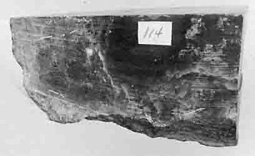 Fragment