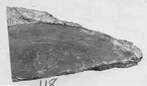 Fragment