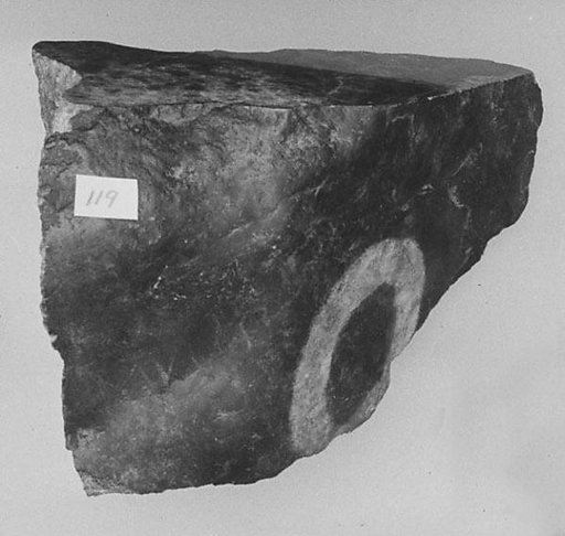 Fragment
