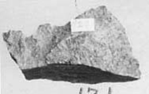 Fragment