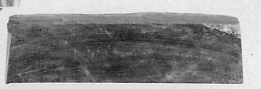 Fragment