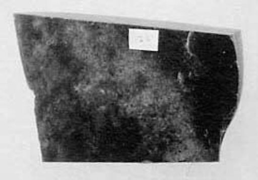 Fragment