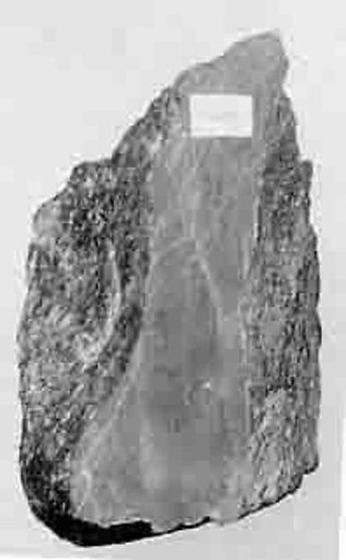 Fragment