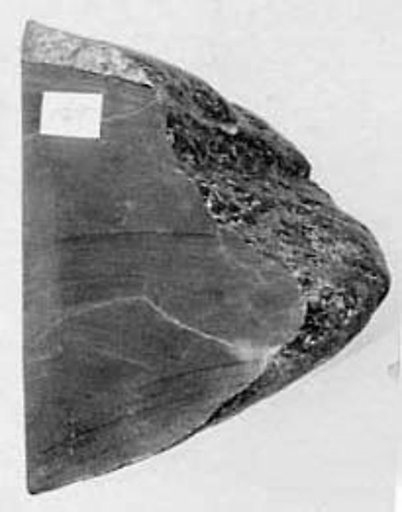Fragment