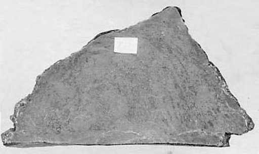 Fragment