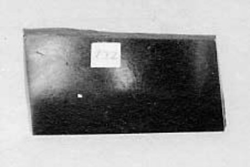 Fragment