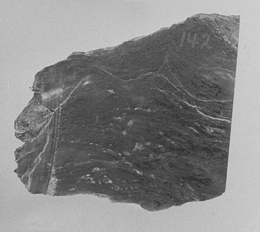 Fragment