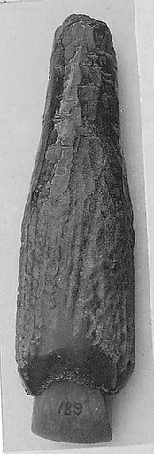 Knife