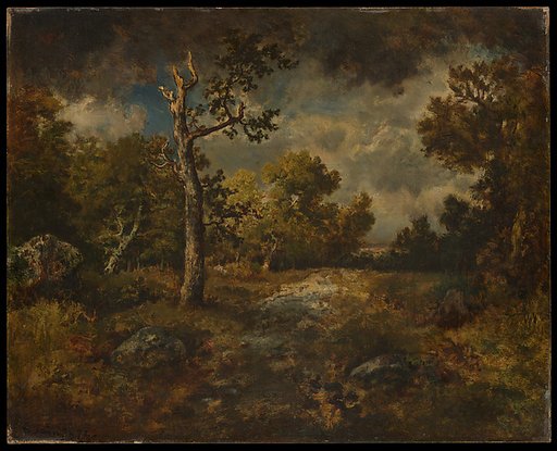 The Edge of the Woods