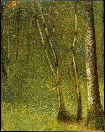 The Forest at Pontaubert