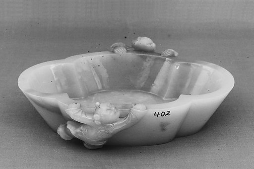 Dish