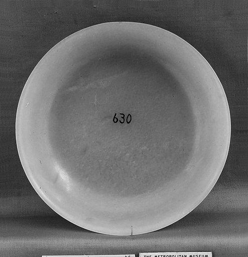 Dish