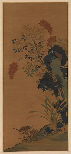 Winter Flowers