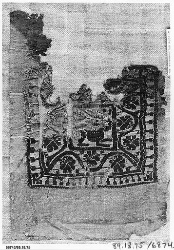 Textile Fragment