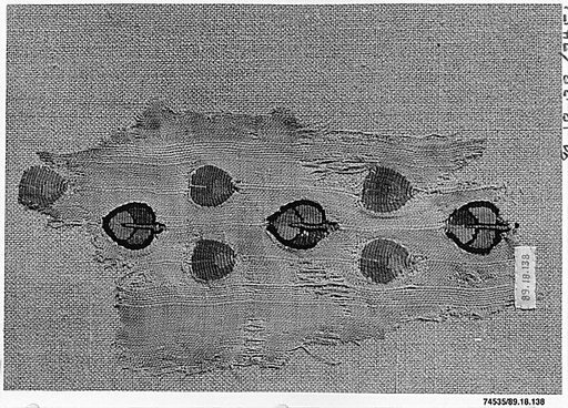 Textile Fragment