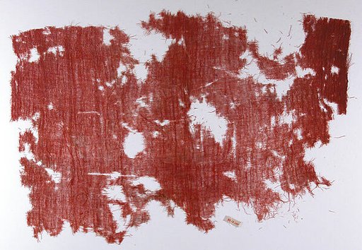 Textile Fragment