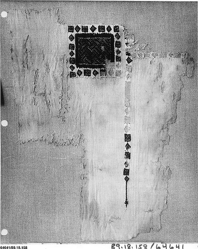 Fragment of a Tunic