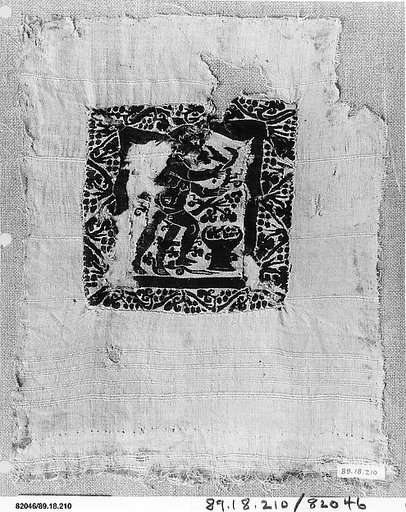 Textile Fragment