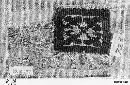 Textile Fragment