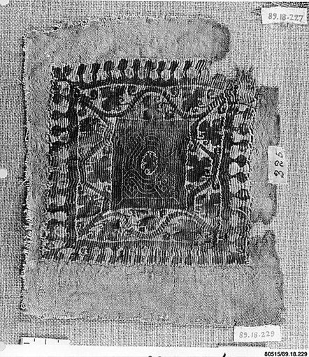 Textile Fragment